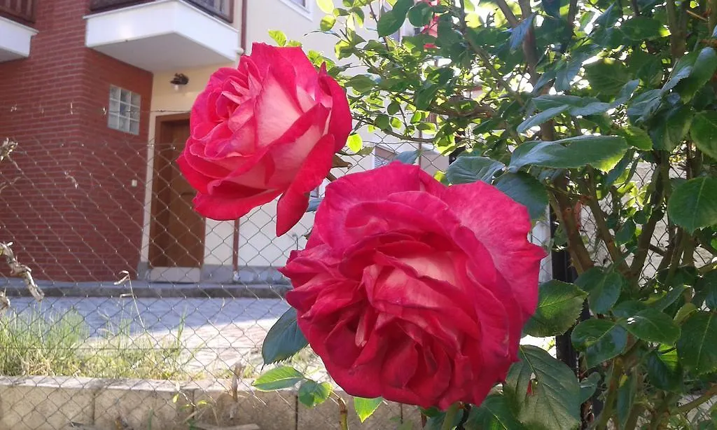 Katerinas Apartments Neos Marmaras Greece